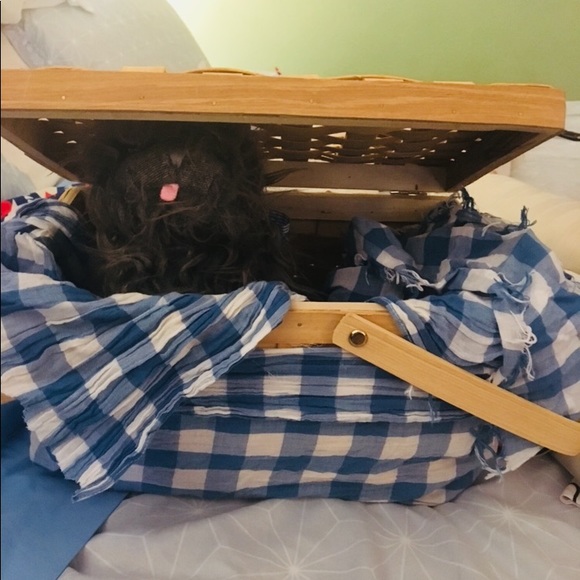 ‼️SOLD‼️Adult Dorothy sexy costume‼️ - Picture 4 of 5